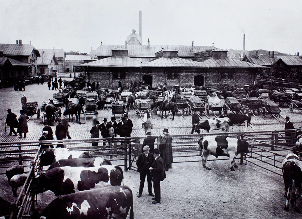 Historisk bild slakthusområdet Göteborg, Profoods fastighet.